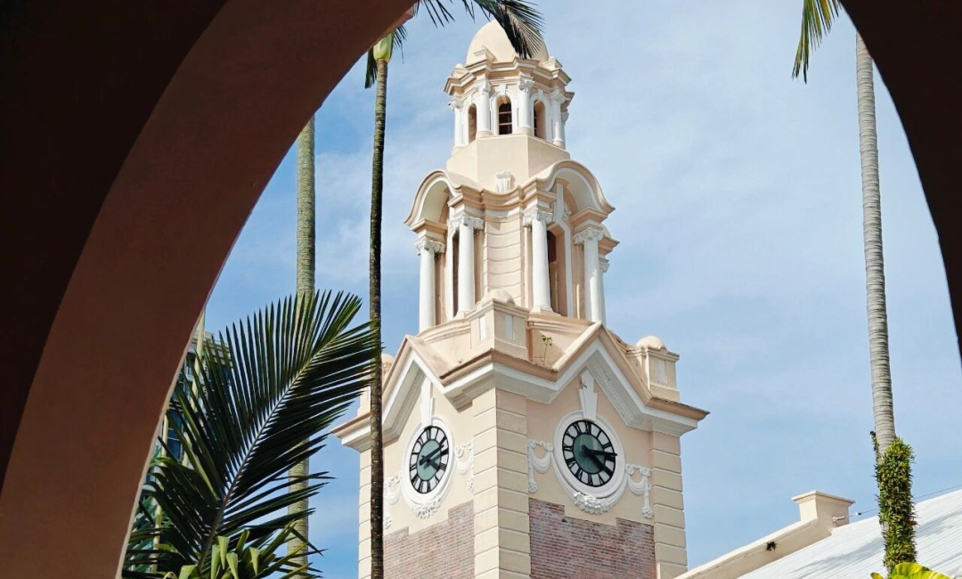 启育留学规划 | 香港大学重磅消息，新增“考公天选”1年制硕士专业